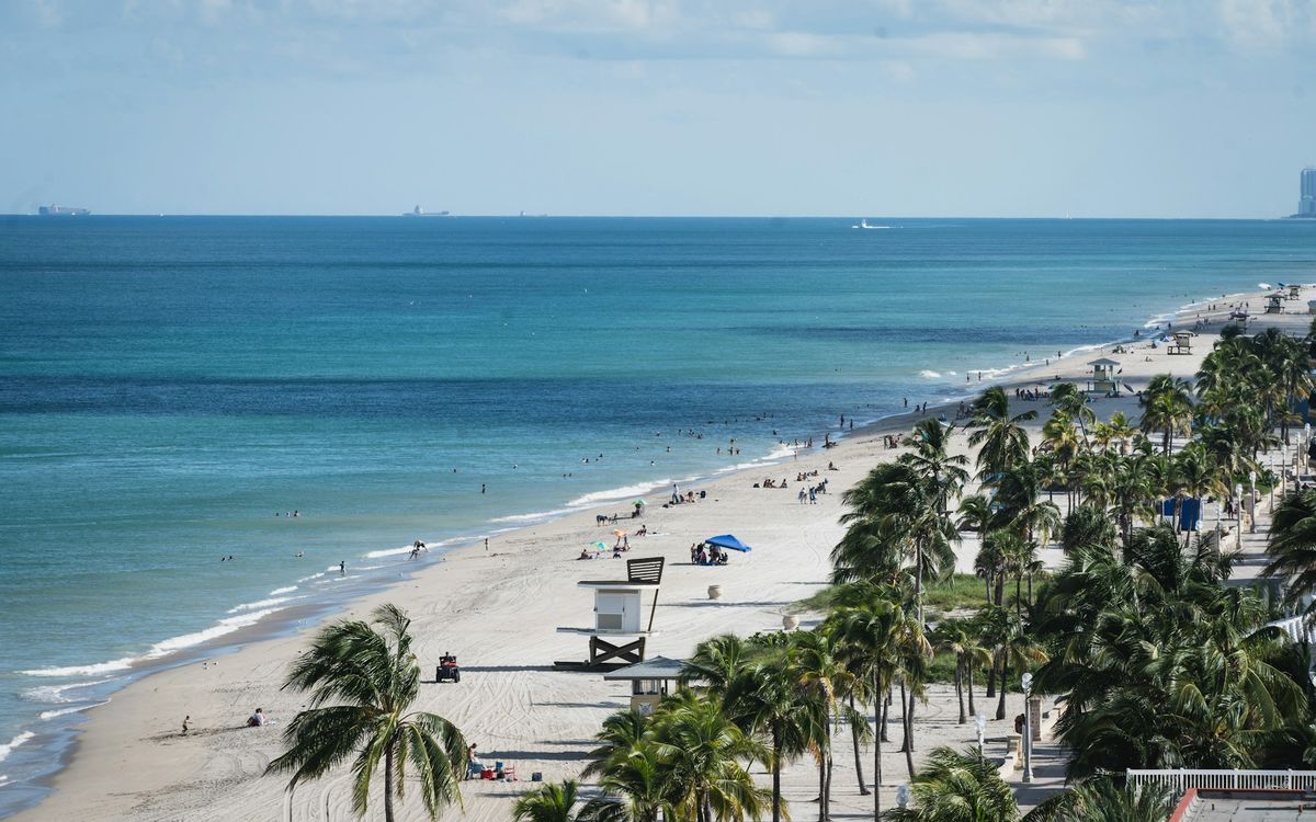 Palms and beachgoers along the Hollywood Beach Broadwalk