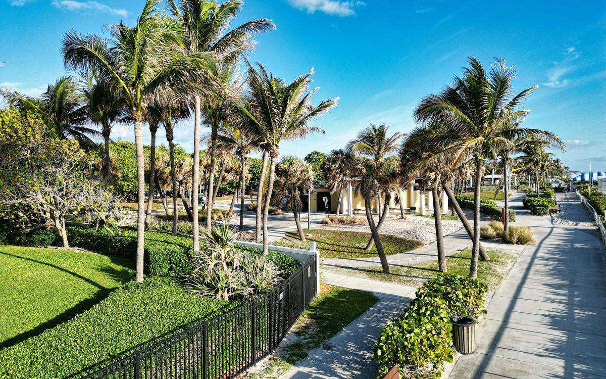 A palm-lined walkway and lawn in Palm Beach Gardens