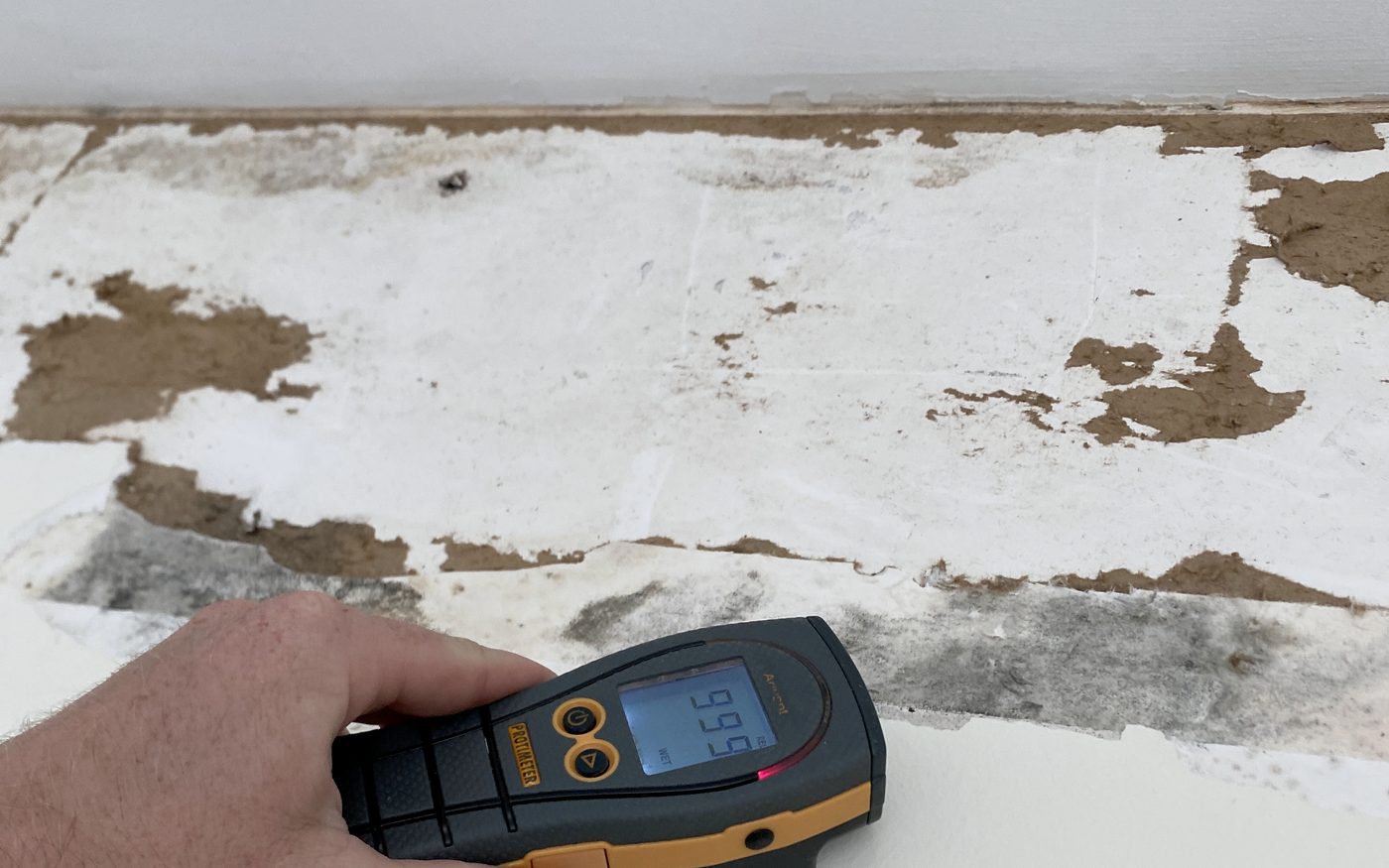 Infrared thermometer aimed at a wall and ceiling junction where the drywall paper has delaminated