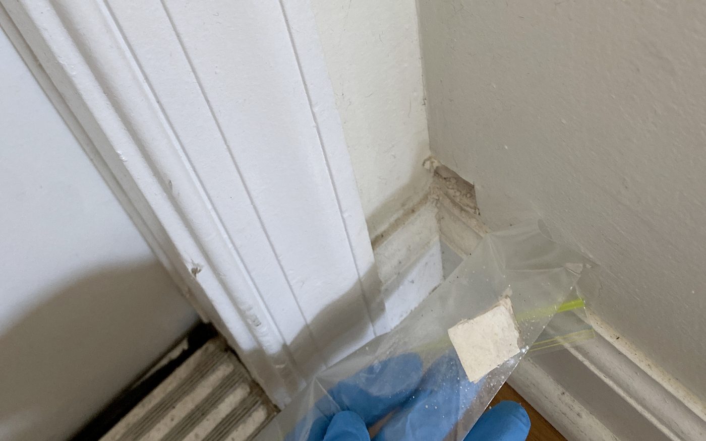 Gloved hand collecting a surface sample at a baseboard with the sample bag sealed and labelled
